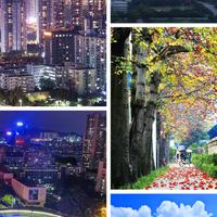 羅湖區地址掛靠